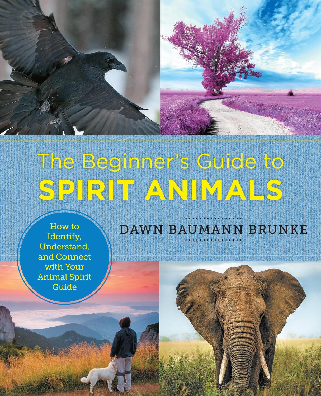 Cover: 9780760379943 | The Beginner's Guide to Spirit Animals | Dawn Baumann Brunke | Buch
