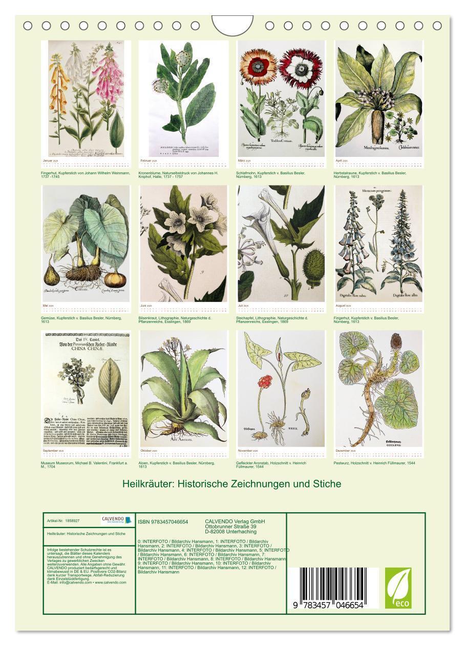 Bild: 9783457046654 | Heilkräuter: Historische Zeichnungen und Stiche (Wandkalender 2025...