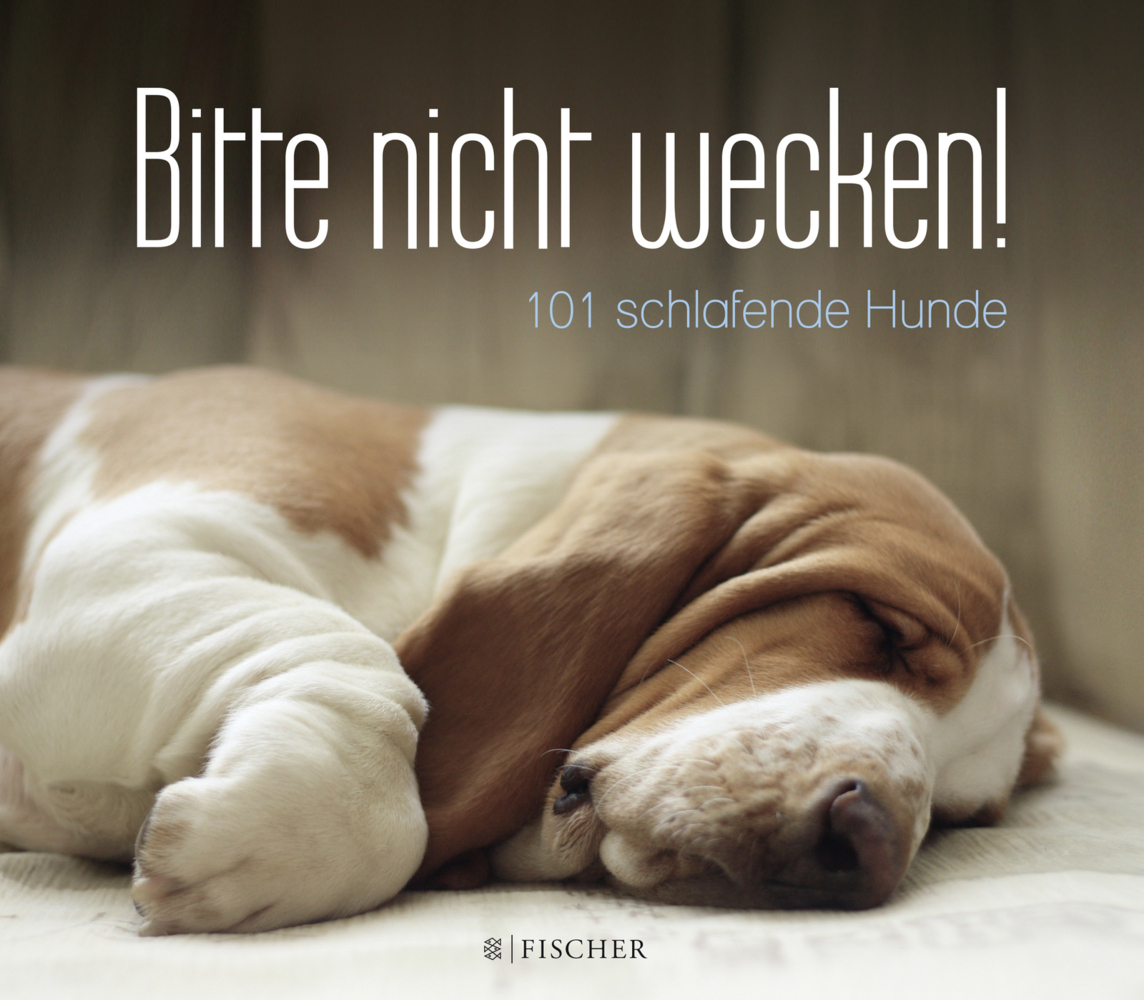 Cover: 9783596034154 | Bitte nicht wecken! | 101 schlafende Hunde | Buch | 2015
