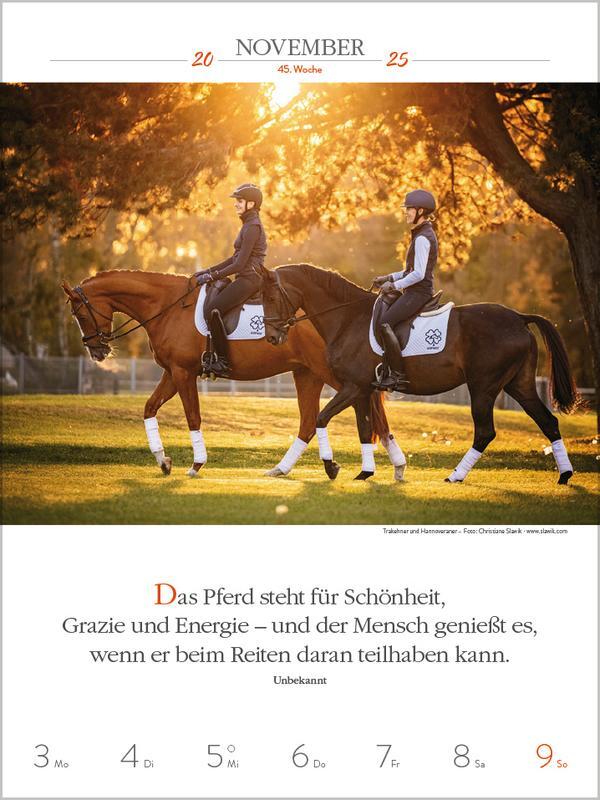 Bild: 9783731877233 | Literaturkalender Pferde 2025 | Verlag Korsch | Kalender | 54 S.