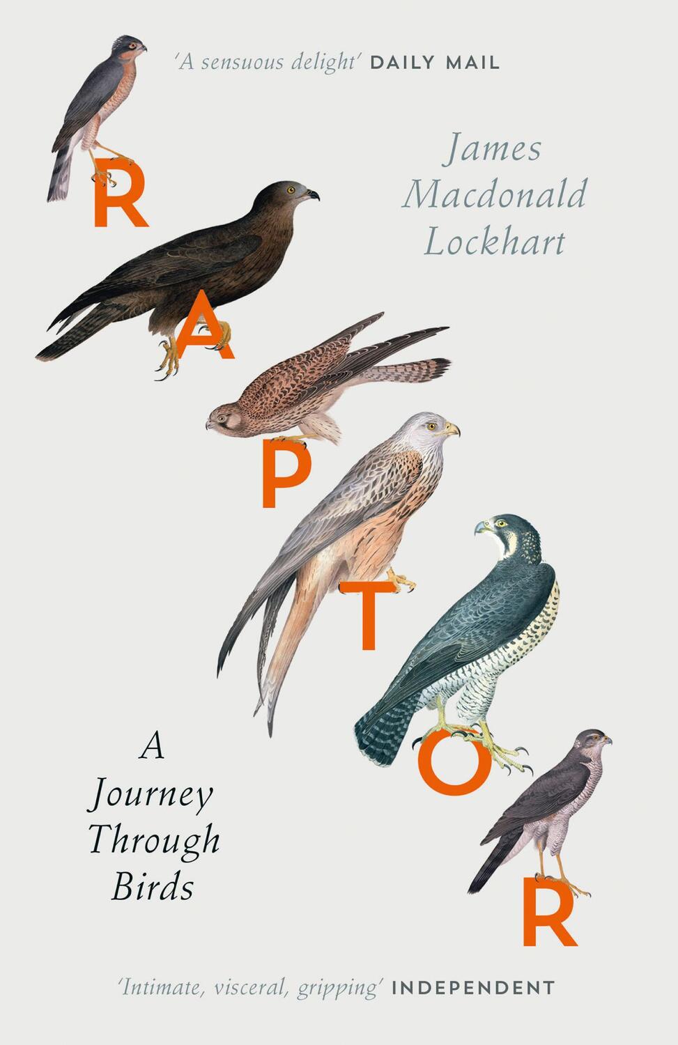 Cover: 9780007459896 | Raptor | A Journey Through Birds | James Macdonald Lockhart | Buch
