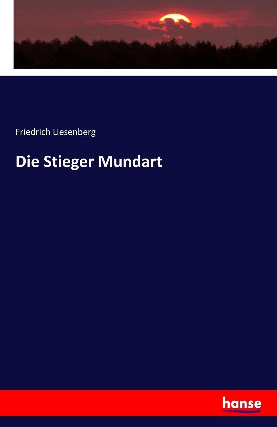 Cover: 9783742896179 | Die Stieger Mundart | Friedrich Liesenberg | Taschenbuch | Paperback
