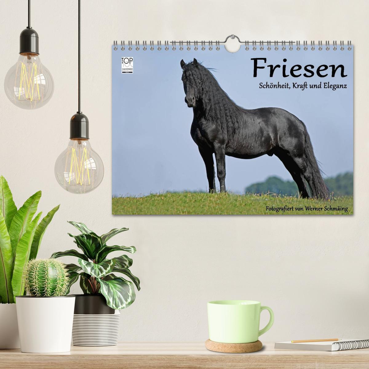 Bild: 9783435541706 | Friesen - Schönheit, Kraft und Eleganz (Wandkalender 2025 DIN A4...