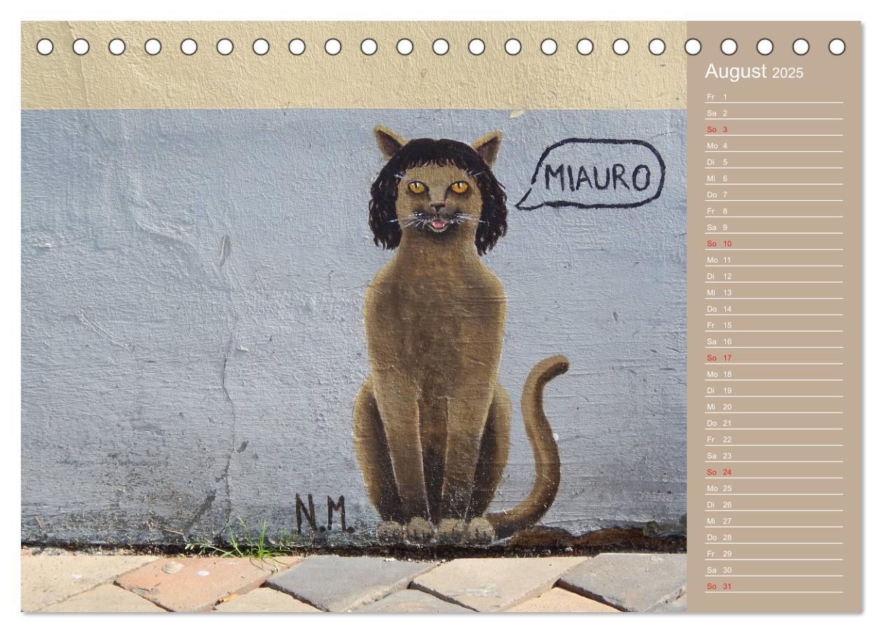 Bild: 9783435289288 | Flensburger Katzen (Tischkalender 2025 DIN A5 quer), CALVENDO...