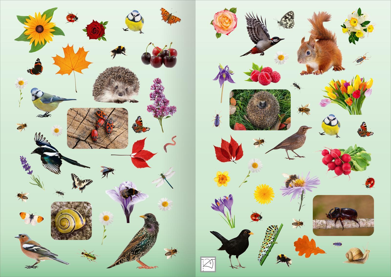 Bild: 4014489135135 | Naturforscher-Kids - Fotosticker Im Garten | Über 200 Sticker | 16 S.