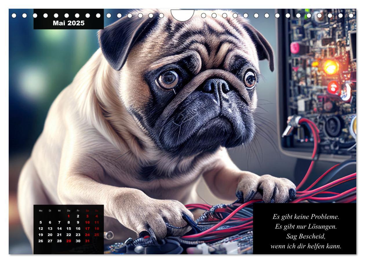 Bild: 9783383919053 | Der humoristische Mops-Kalender (Wandkalender 2025 DIN A4 quer),...