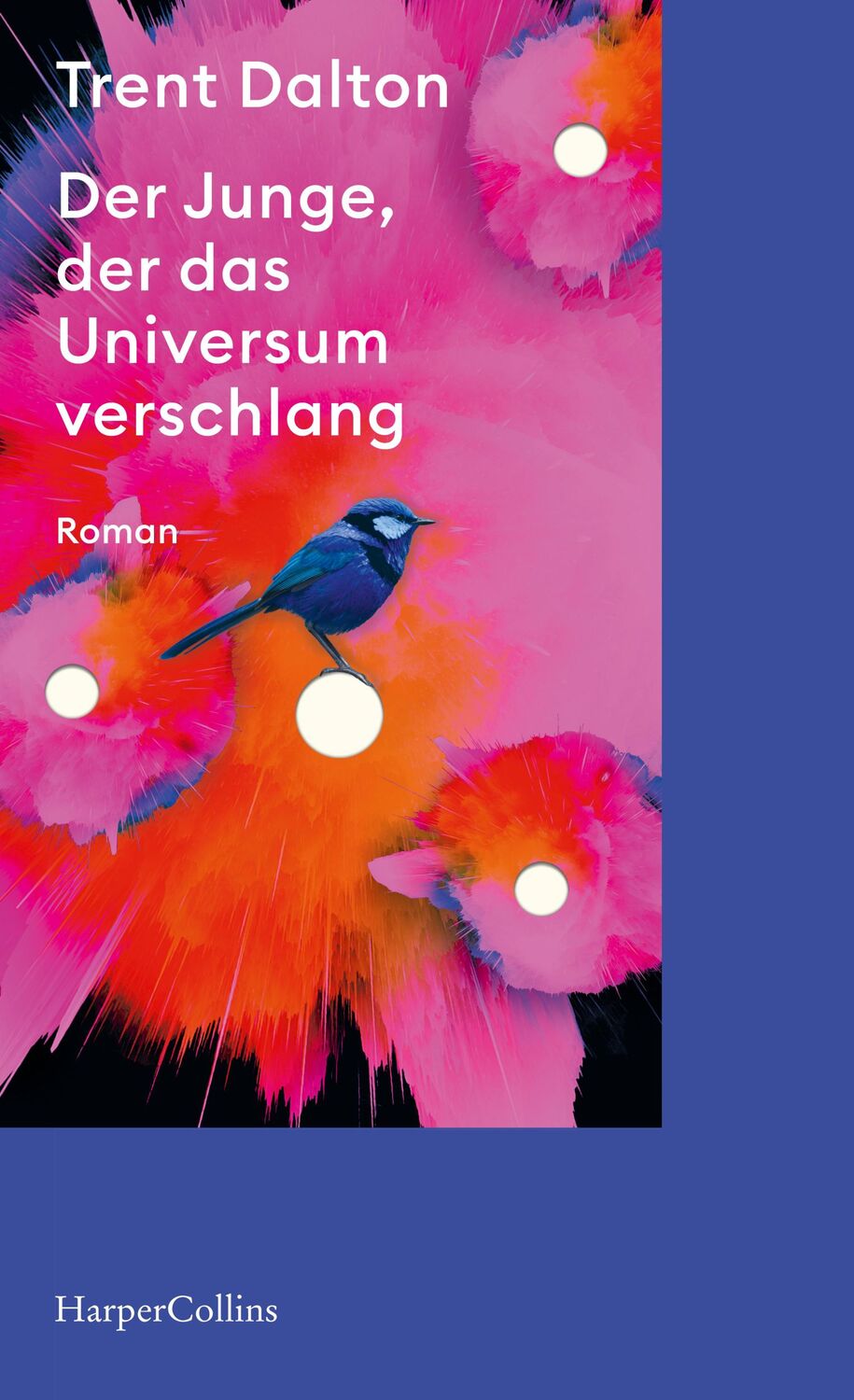 Cover: 9783365000939 | Der Junge, der das Universum verschlang | Trent Dalton | Taschenbuch