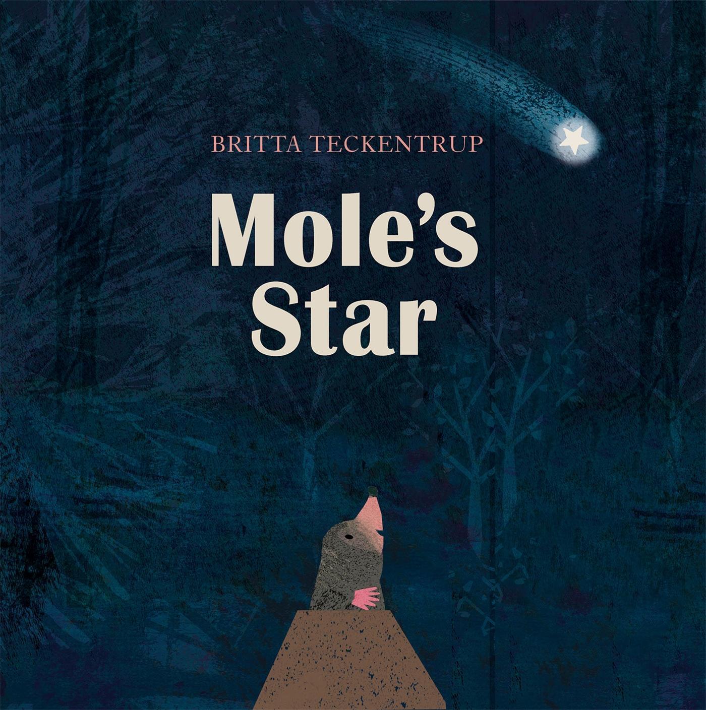 Cover: 9781408342831 | Mole's Star | Britta Teckentrup | Taschenbuch | 32 S. | Englisch