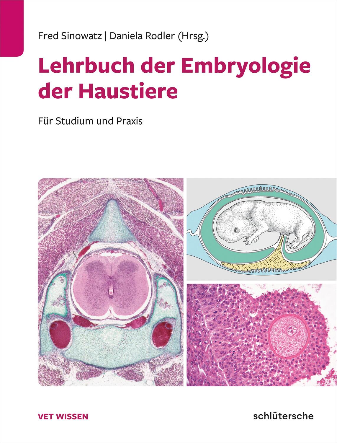Cover: 9783842600546 | Lehrbuch der Embryologie der Haustiere | Für Studium und Praxis | Buch