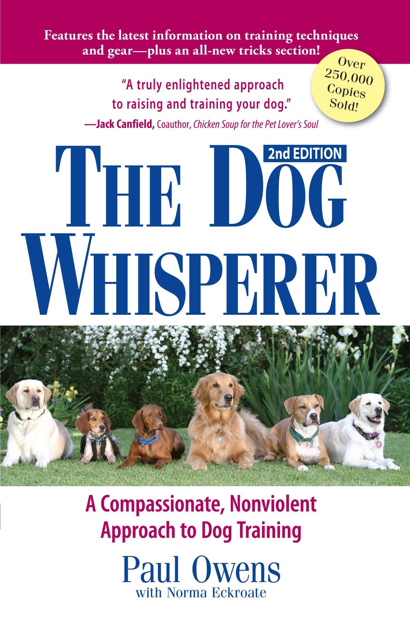 Cover: 9781593375980 | The Dog Whisperer | Paul Owens (u. a.) | Taschenbuch | Englisch | 2007