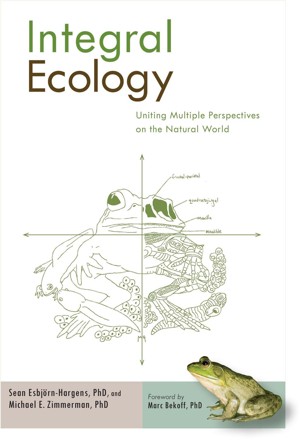 Cover: 9781590307670 | Integral Ecology: Uniting Multiple Perspectives on the Natural World