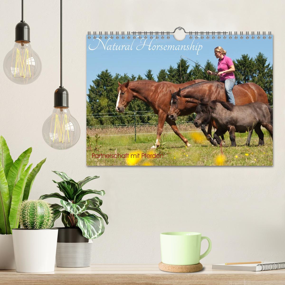 Bild: 9783435594160 | Natural Horsemanship - Partnerschaft mit Pferden (Wandkalender 2025...