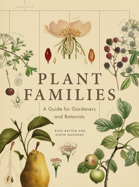 Cover: 9780226523088 | Plant Families: A Guide for Gardeners and Botanists | Bayton (u. a.)