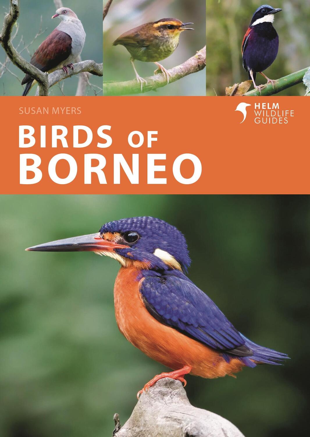 Autor: 9781472986900 | Birds of Borneo | Ms Susan Myers | Taschenbuch | Helm Wildlife Guides