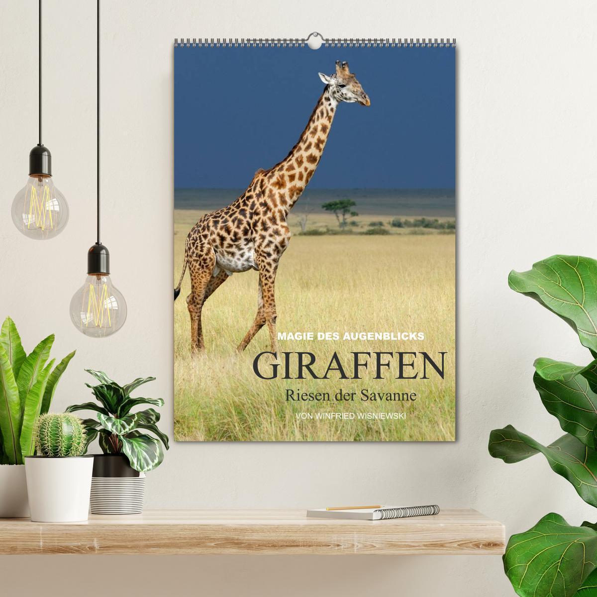 Bild: 9783457068182 | Magie des Augenblicks - Giraffen - Riesen der Savanne (Wandkalender...