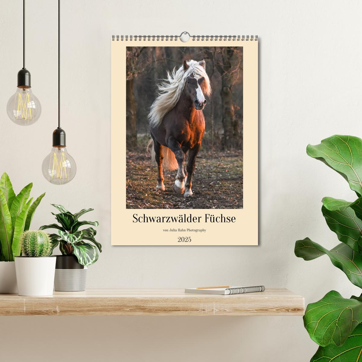 Bild: 9783435854950 | Schwarzwälder Füchse von Julia Hahn Photography (Wandkalender 2025...