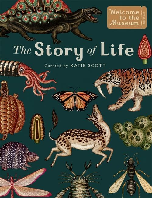 Cover: 9781783706822 | The Story of Life: Evolution (Extended Edition) | Ruth Symons | Buch
