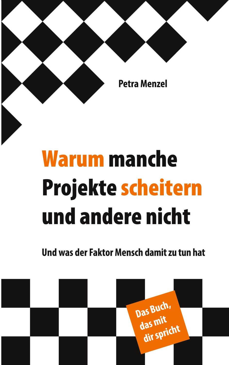 Cover: 9783949265167 | Warum manche Projekte scheitern und andere nicht | Petra Menzel | Buch