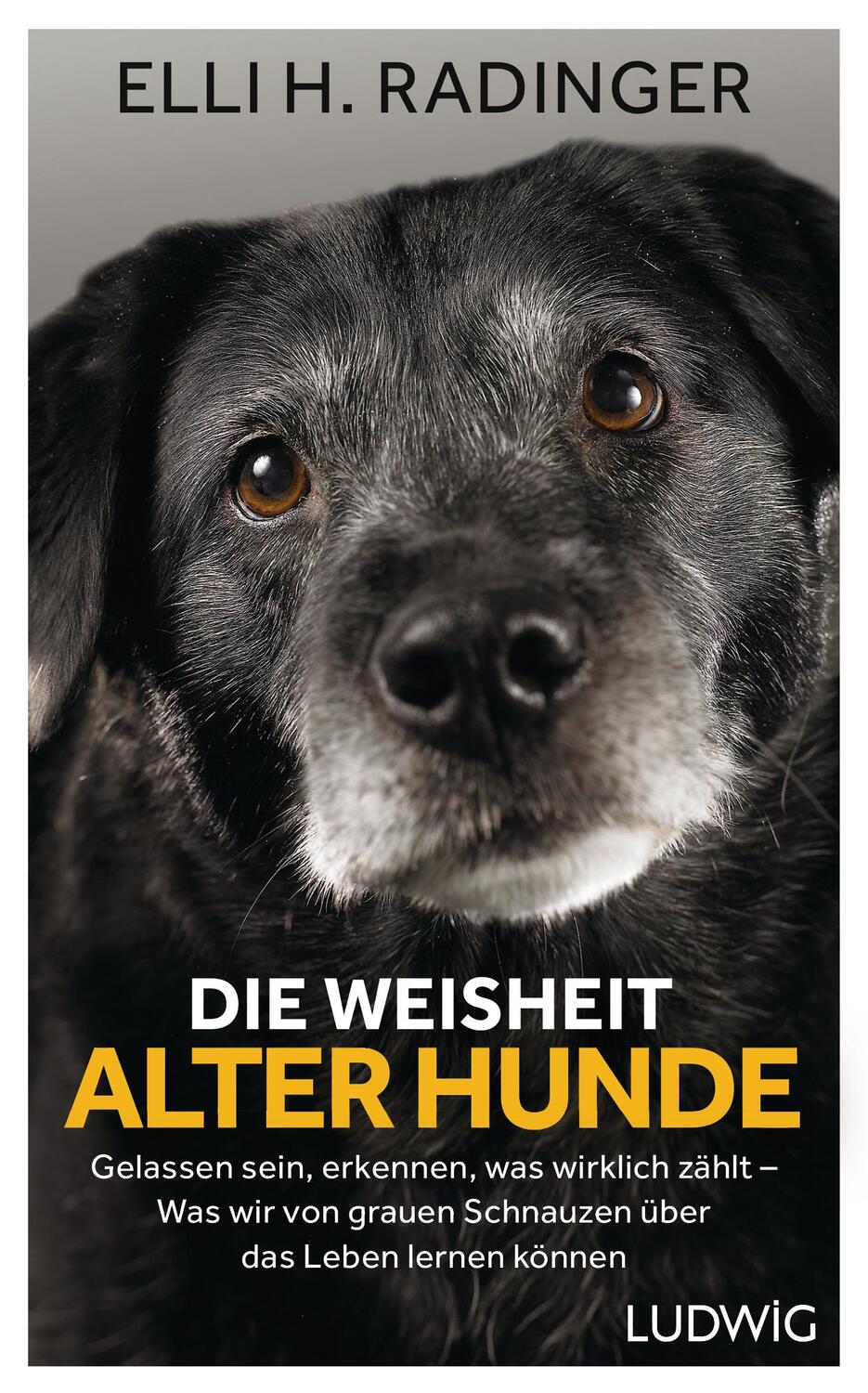 Cover: 9783453281080 | Die Weisheit alter Hunde | Elli H. Radinger | Buch | Deutsch | 2018