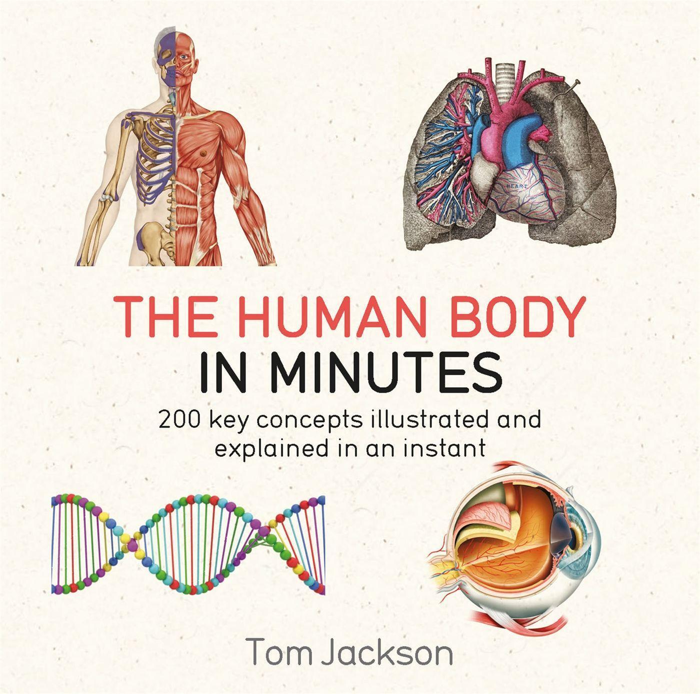 Cover: 9781786481238 | The Human Body in Minutes | Tom Jackson | Taschenbuch | In Minutes