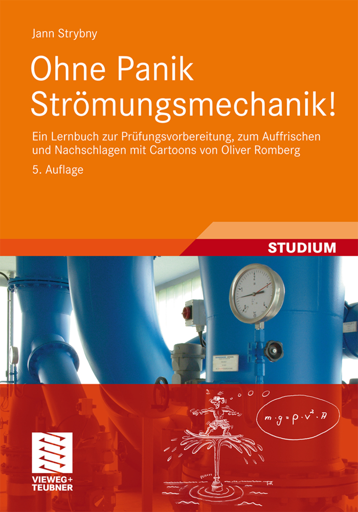 Cover: 9783834817914 | Ohne Panik Strömungsmechanik! | Jann Strybny | Taschenbuch | xx | 2011
