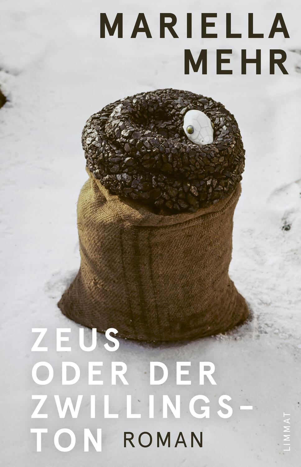 Cover: 9783039260577 | Zeus oder der Zwillingston | Roman | Mariella Mehr | Taschenbuch