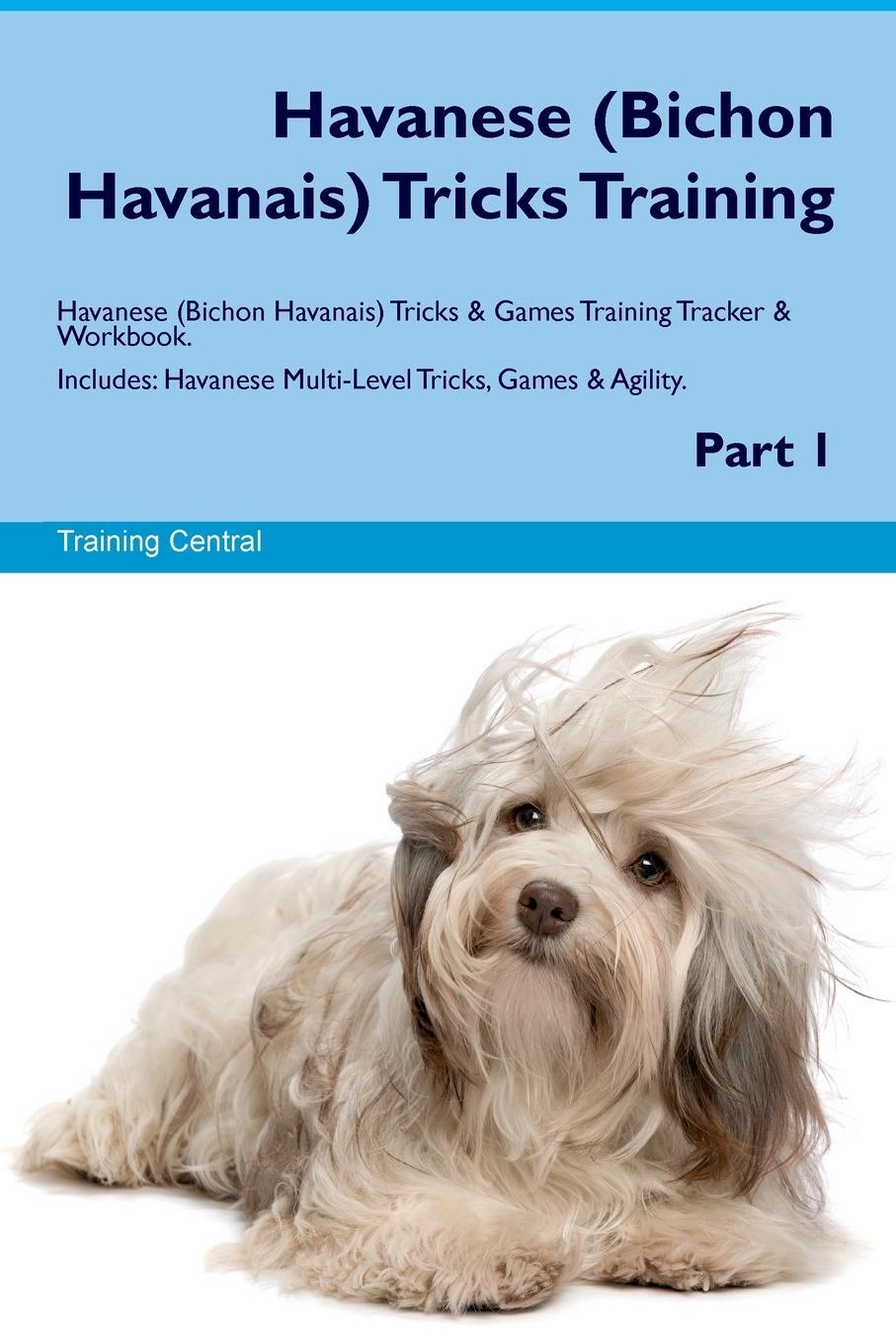 Cover: 9781395864606 | Havanese (Bichon Havanais) Tricks Training Havanese Tricks &amp; Games...