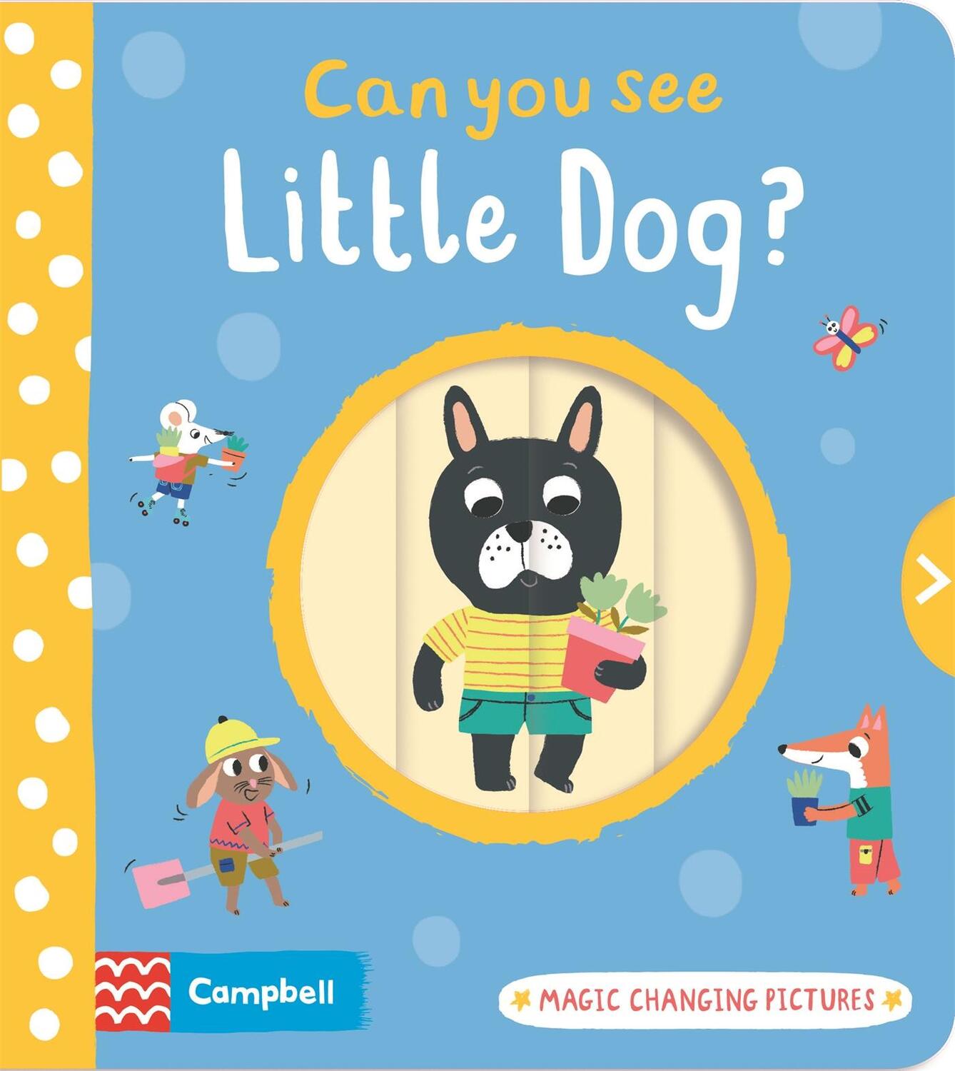 Cover: 9781529071016 | Can You See Little Dog? | Magic changing pictures | Campbell Books