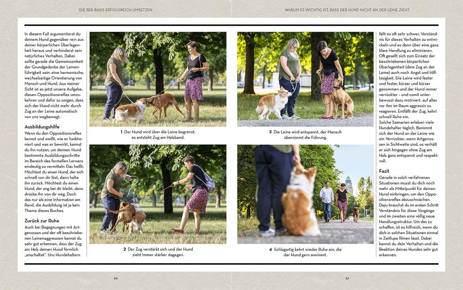 Bild: 9783440168028 | Hunde erziehen - mit der 5er-Basis | Kai Hartmann | Taschenbuch | 2020