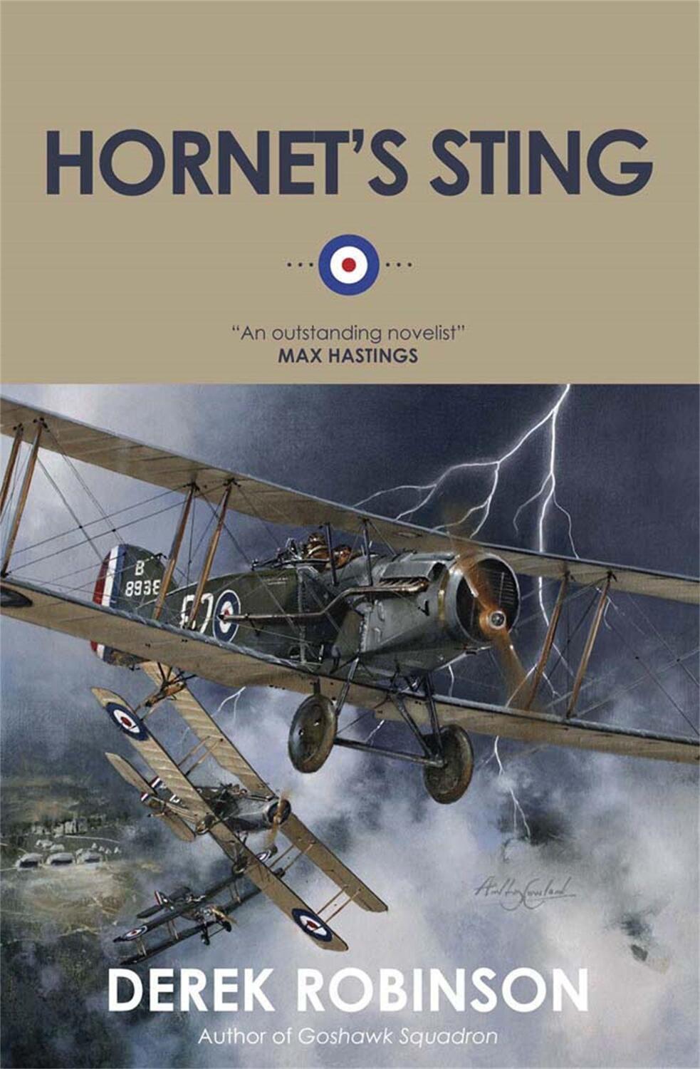 Cover: 9780857052254 | Hornet's Sting | Derek Robinson | Taschenbuch | Englisch | 2013