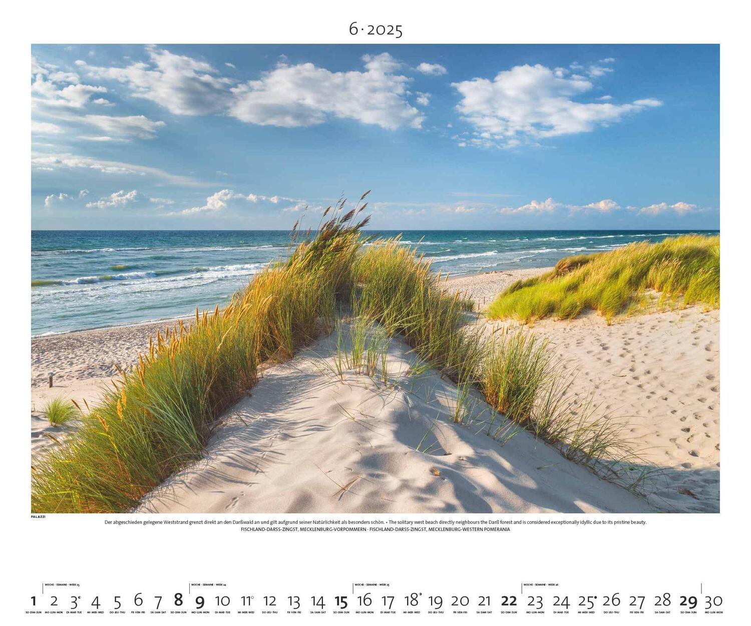 Bild: 4251734300744 | PALAZZI - Naturland Deutschland 2025 Wandkalender, 60x50cm,...