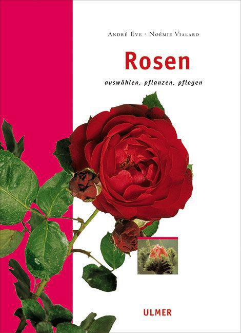 Cover: 9783800144389 | Rosen | Auswählen, pflanzen, pflegen | Noémie Vialard (u. a.) | Buch