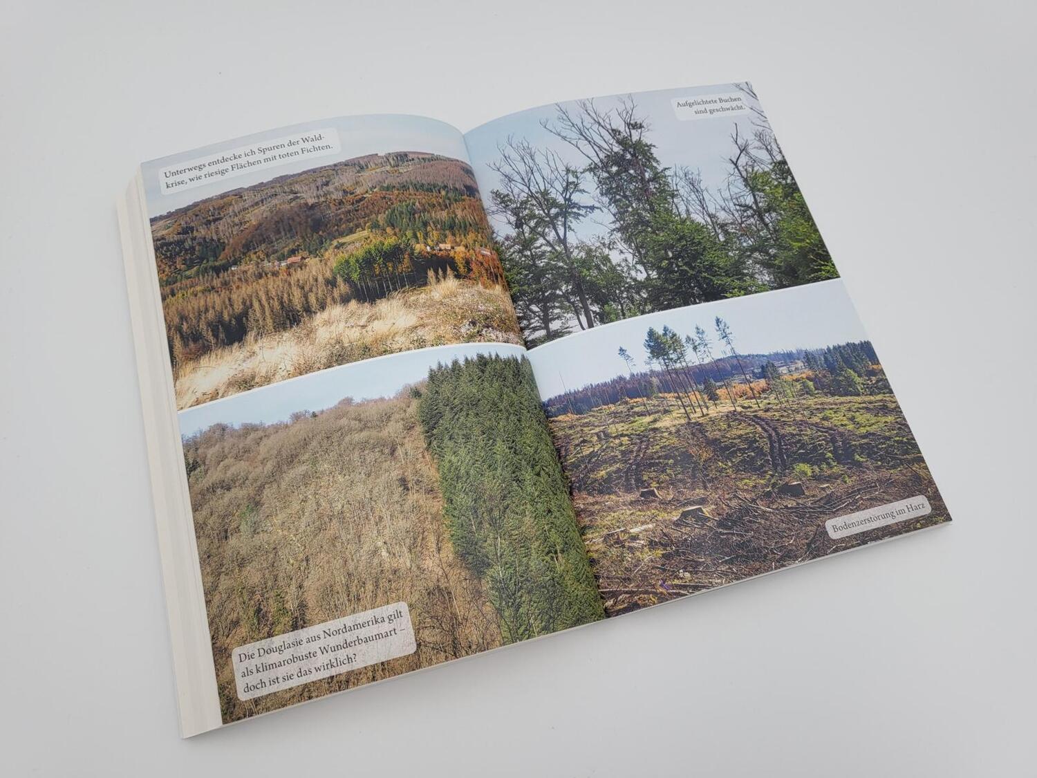 Bild: 9783890295664 | Der Waldwanderer | Gerald Klamer | Taschenbuch | 271 S. | Deutsch