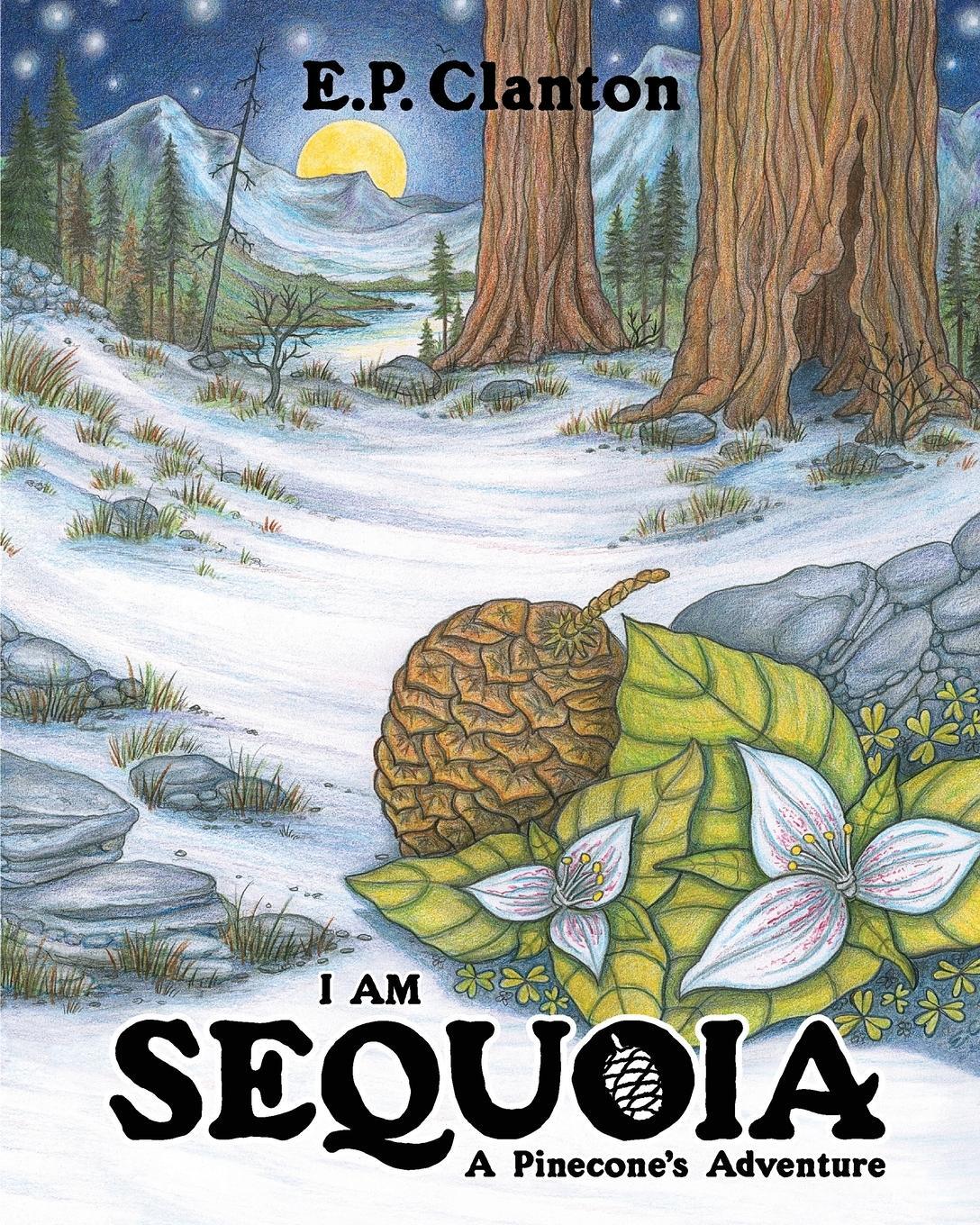 Cover: 9780578810935 | I Am Sequoia - A Pinecone's Adventure | Eric P Clanton | Taschenbuch