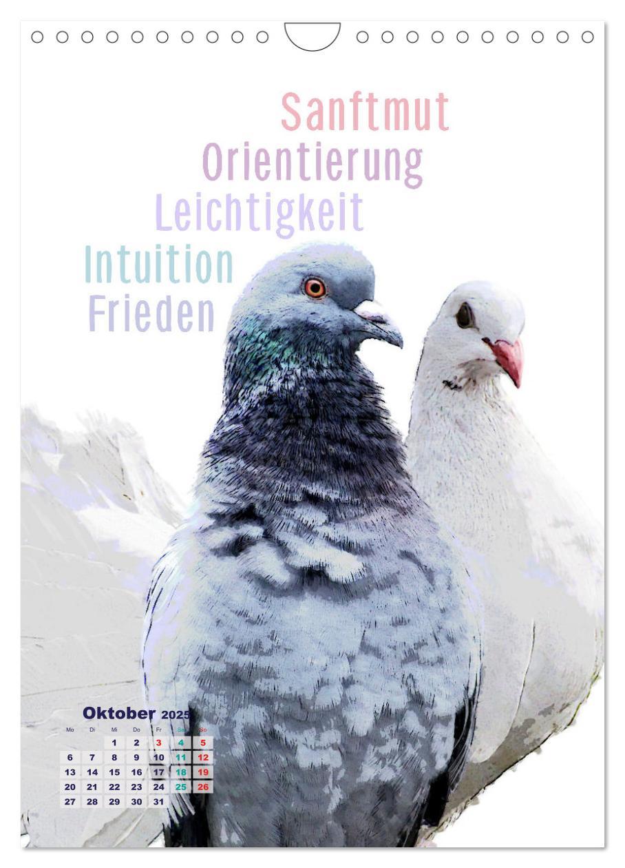 Bild: 9783457137437 | Welche spirituelle Bedeutung hat dieser Vogel? (Wandkalender 2025...