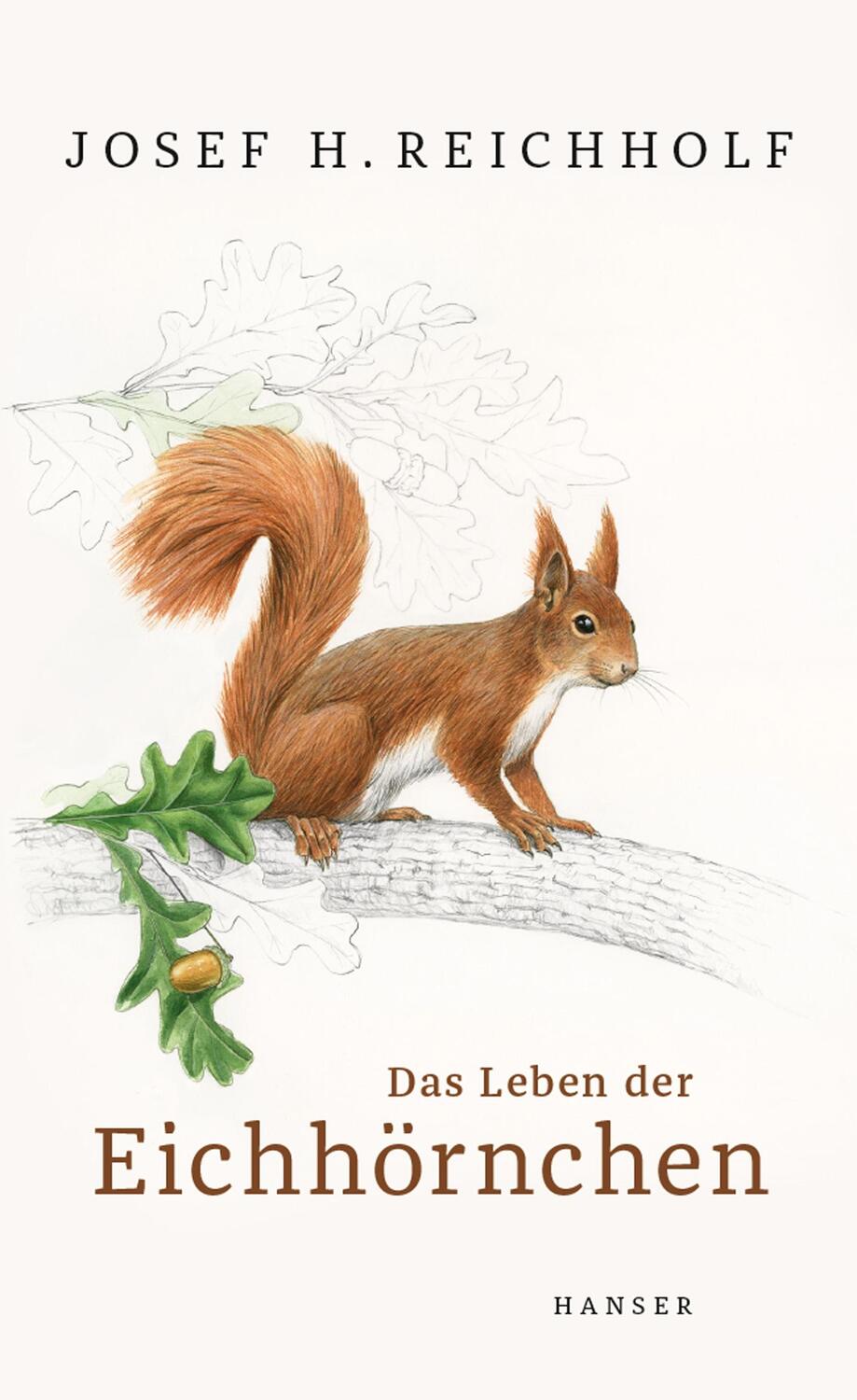 Cover: 9783446264076 | Das Leben der Eichhörnchen | Josef H. Reichholf | Buch | Deutsch