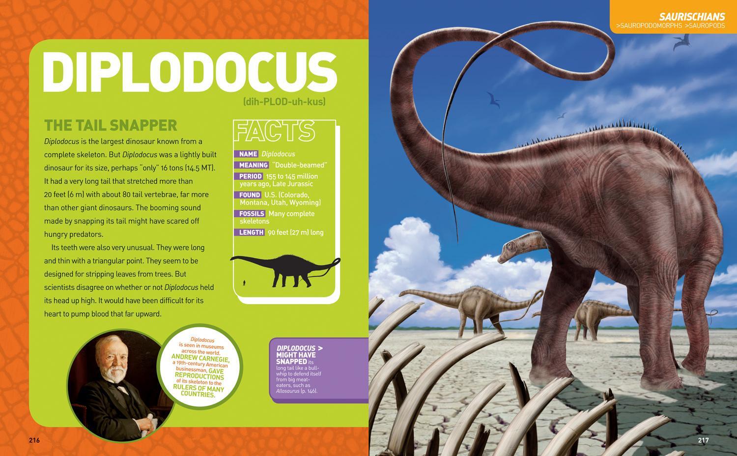 Bild: 9781426329050 | Ultimate Dinosaur Dinopedia | Don Lessem (u. a.) | Buch | Englisch