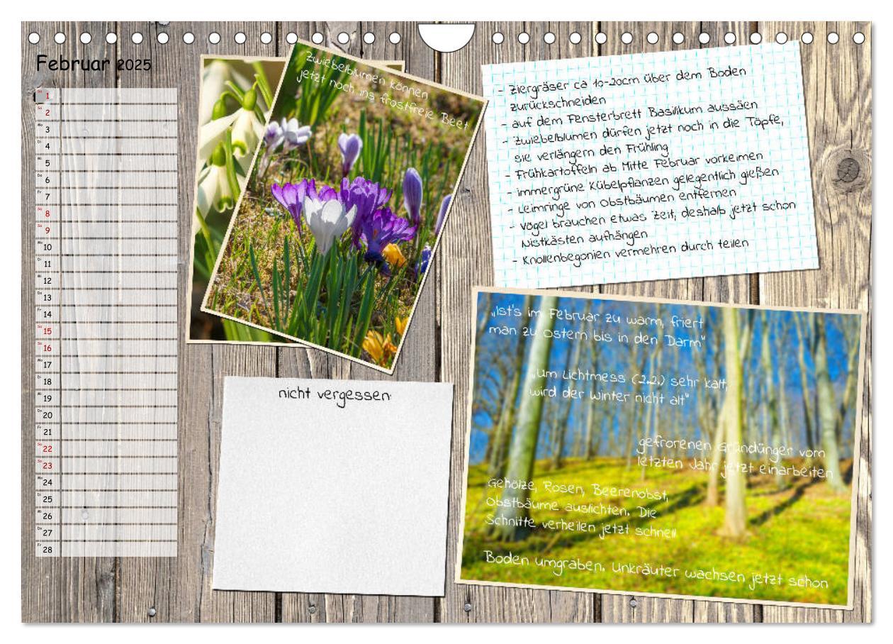 Bild: 9783435133116 | Was ist noch im Garten zu tun? (Wandkalender 2025 DIN A4 quer),...