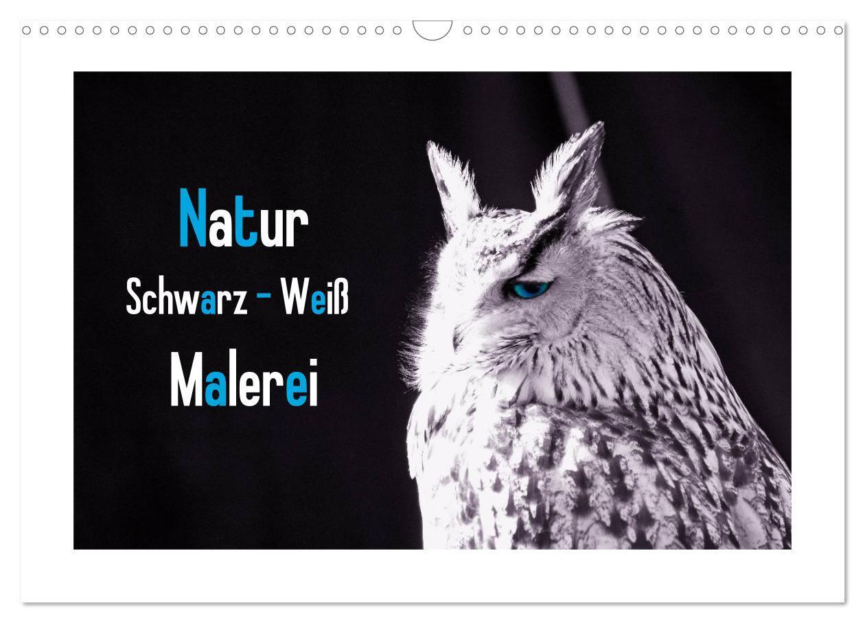 Cover: 9783435730698 | Natur schwarz - weiß Malerei (Wandkalender 2025 DIN A3 quer),...