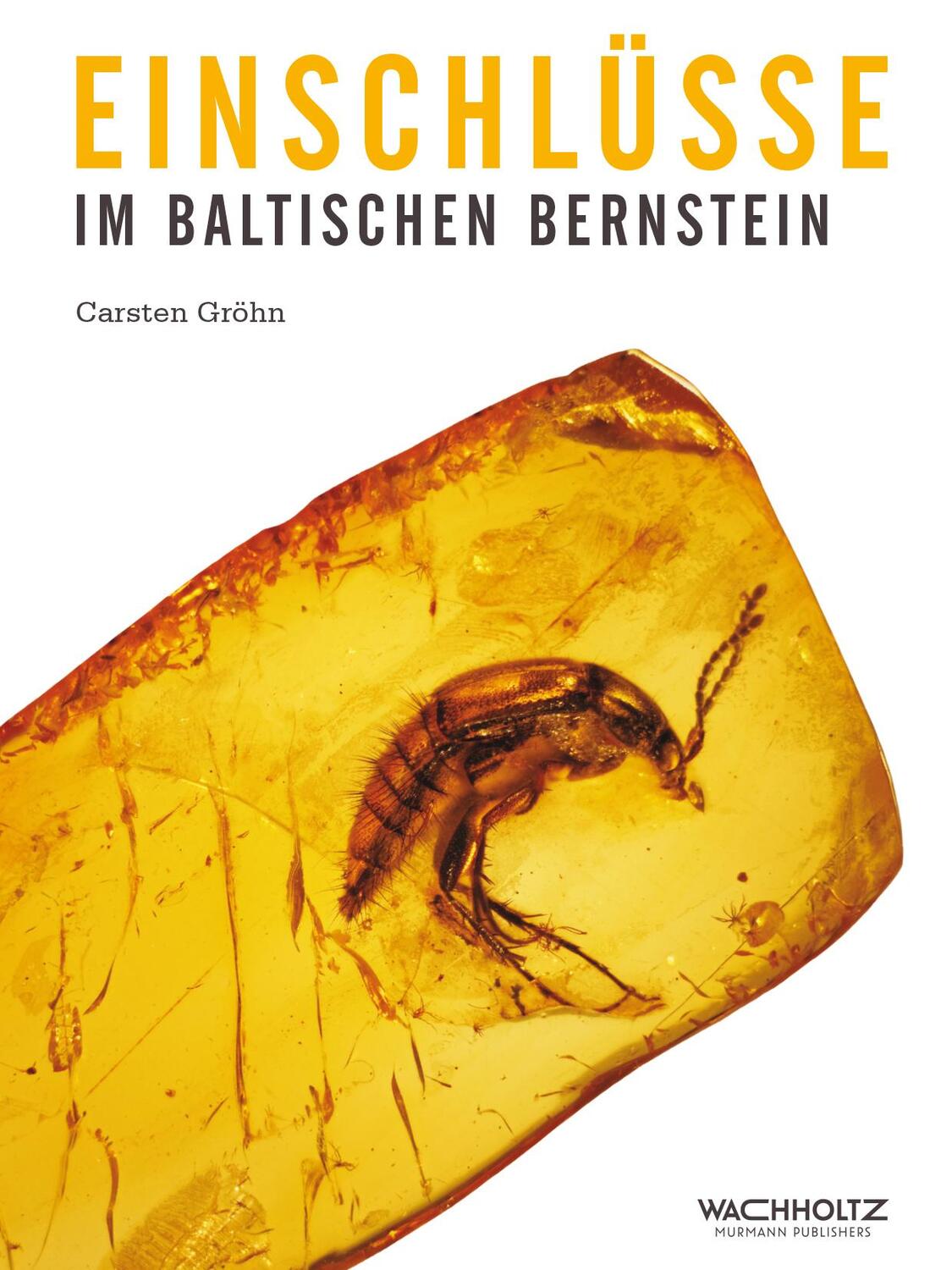 Cover: 9783529054570 | Einschlüsse im baltischen Bernstein | Carsten Gröhn | Buch | Deutsch