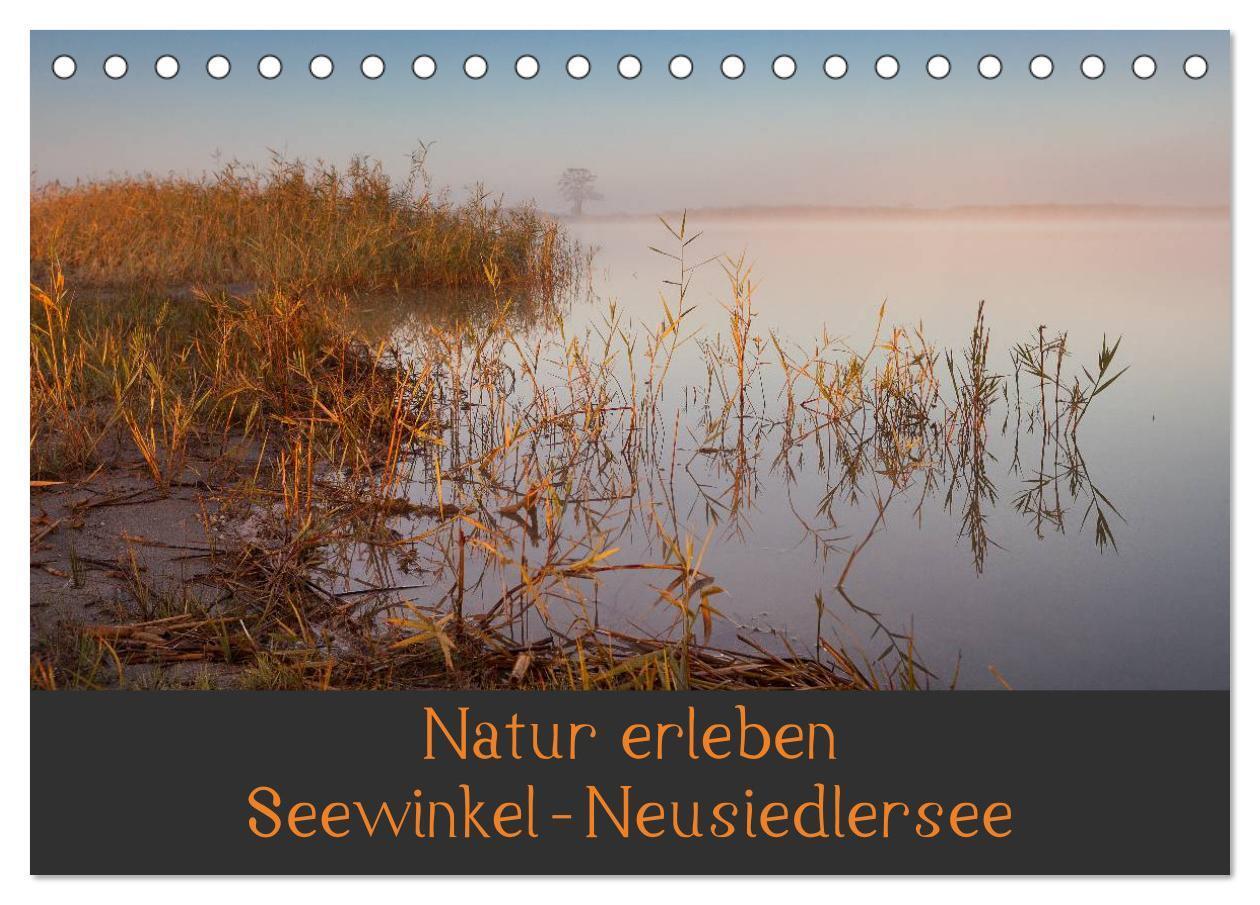 Cover: 9783435491322 | Natur erleben Seewinkel-Neusiedlersee (Tischkalender 2025 DIN A5...