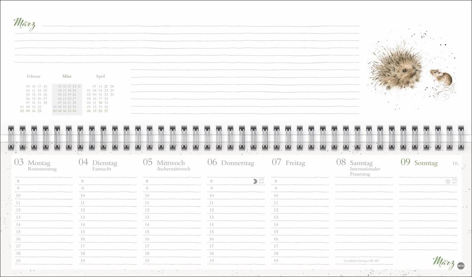 Bild: 9783756406616 | Hannah Dale : Wochenquerplaner 2025 | Hannah Dale | Kalender | 112 S.