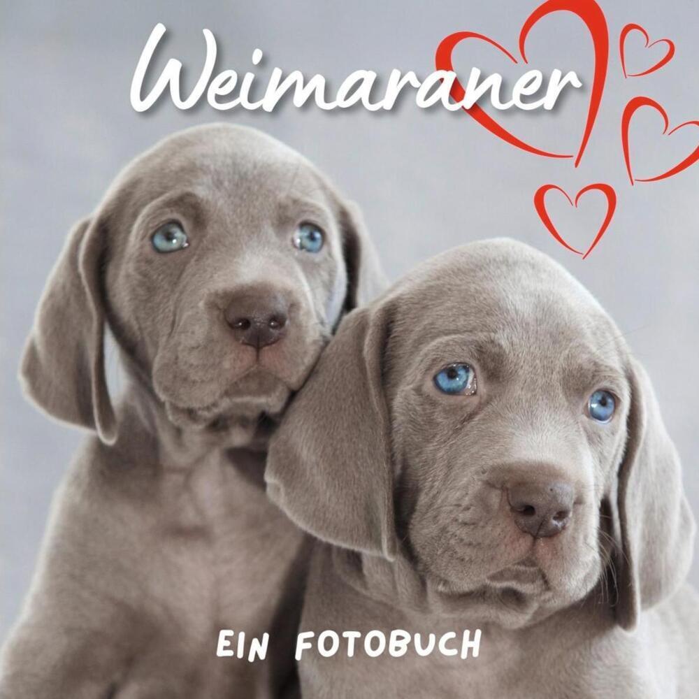 Cover: 9783750515840 | Weimaraner | Bibi Hübsch | Taschenbuch | 42 S. | Deutsch | 2022