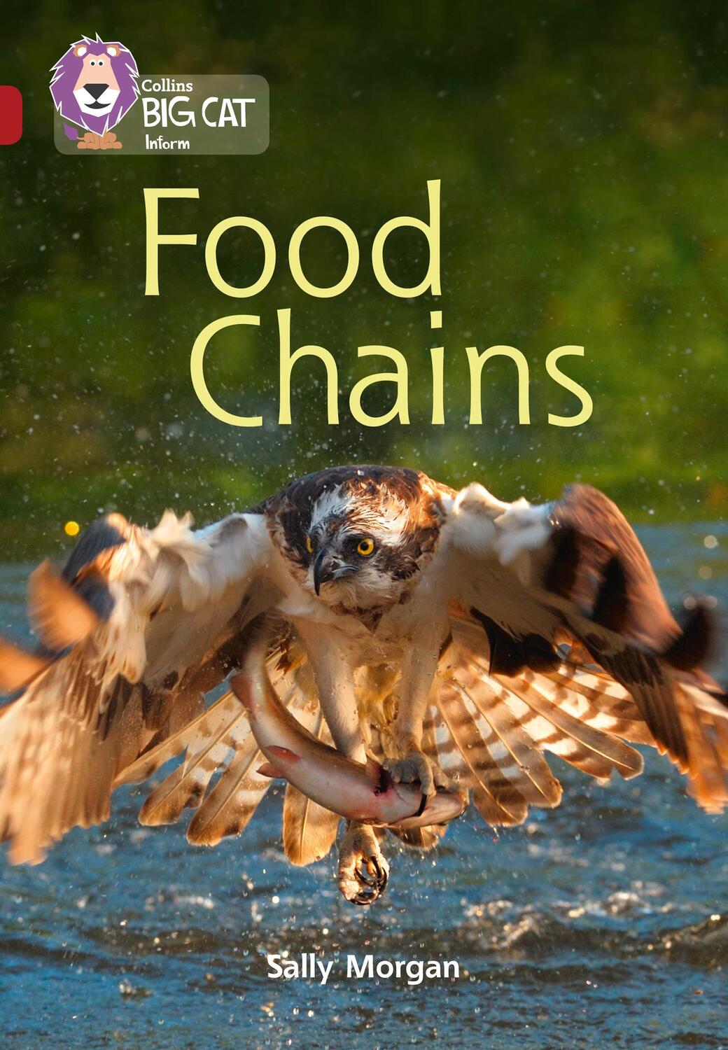 Cover: 9780008163891 | Food Chains | Band 14/Ruby | Sally Morgan | Taschenbuch | Englisch