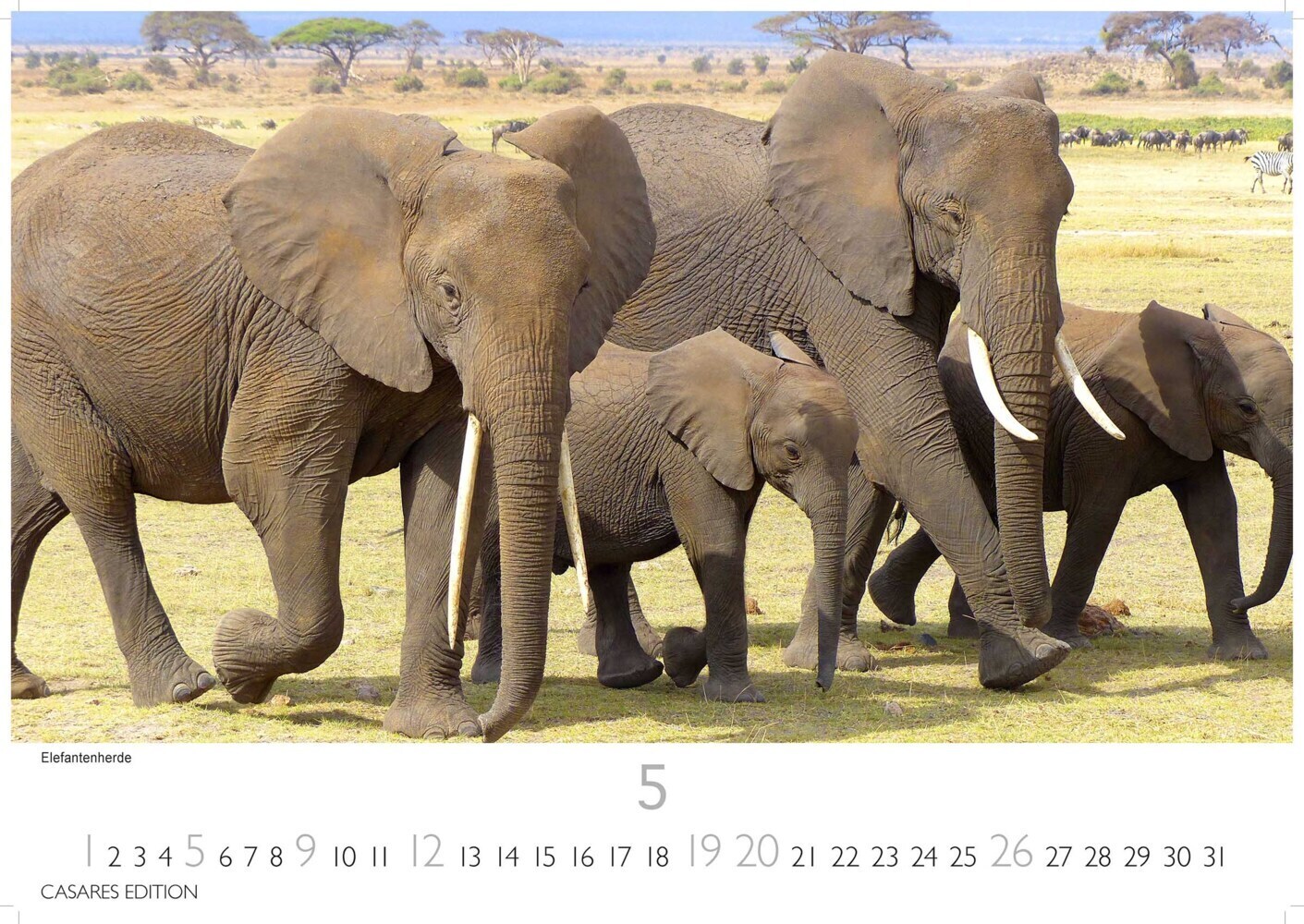 Bild: 9789918618163 | Kenia/Serengeti 2024 S 24x35cm | Stück | 14 S. | Deutsch | 2023