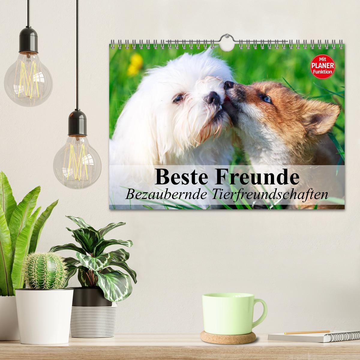 Bild: 9783435515455 | Beste Freunde. Bezaubernde Tierfreundschaften (Wandkalender 2025...