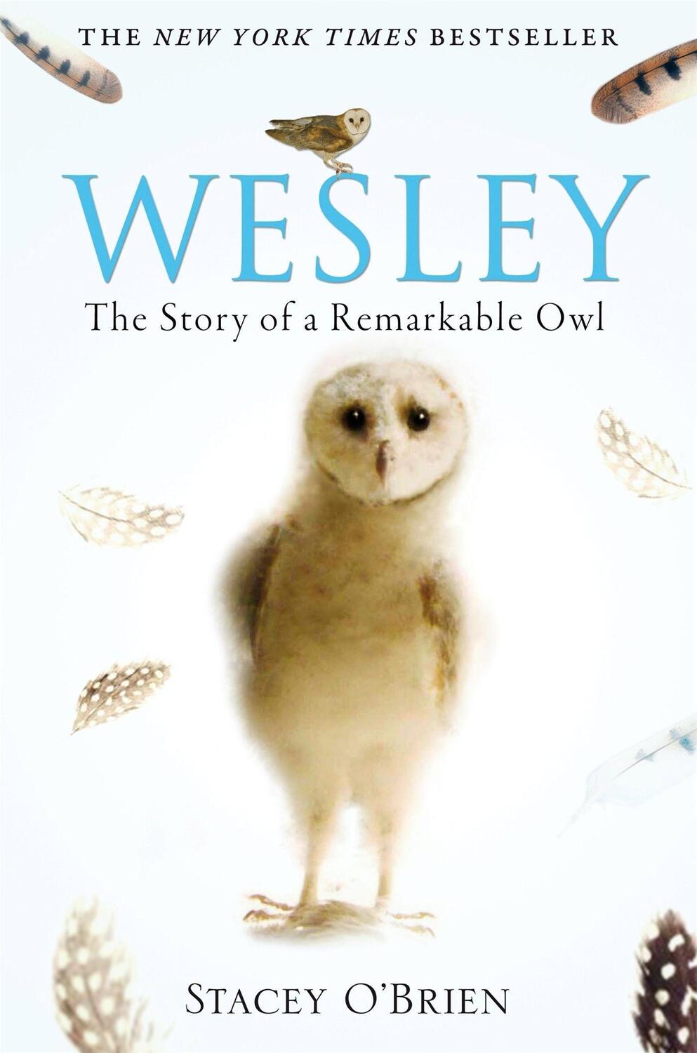 Cover: 9781849010580 | Wesley | The Story of a Remarkable Owl | Stacey O'Brien | Taschenbuch