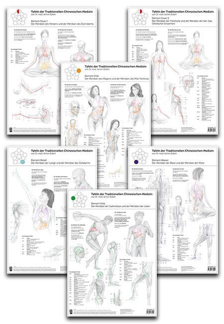 Cover: 9783902735713 | Set von 6 Tafeln der Traditionellen Chinesischen Medizin | Eckert