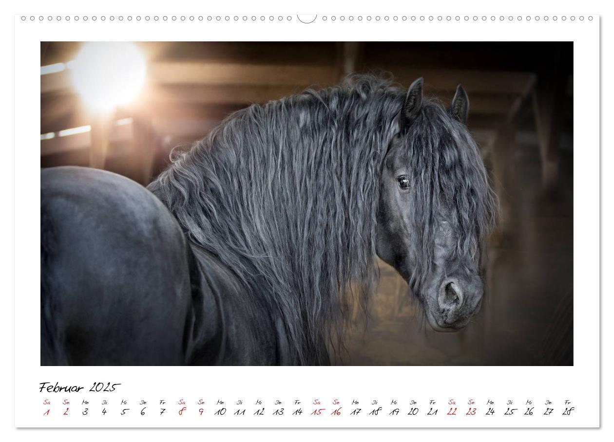 Bild: 9783435234127 | Friesen - stolze Giganten (hochwertiger Premium Wandkalender 2025...