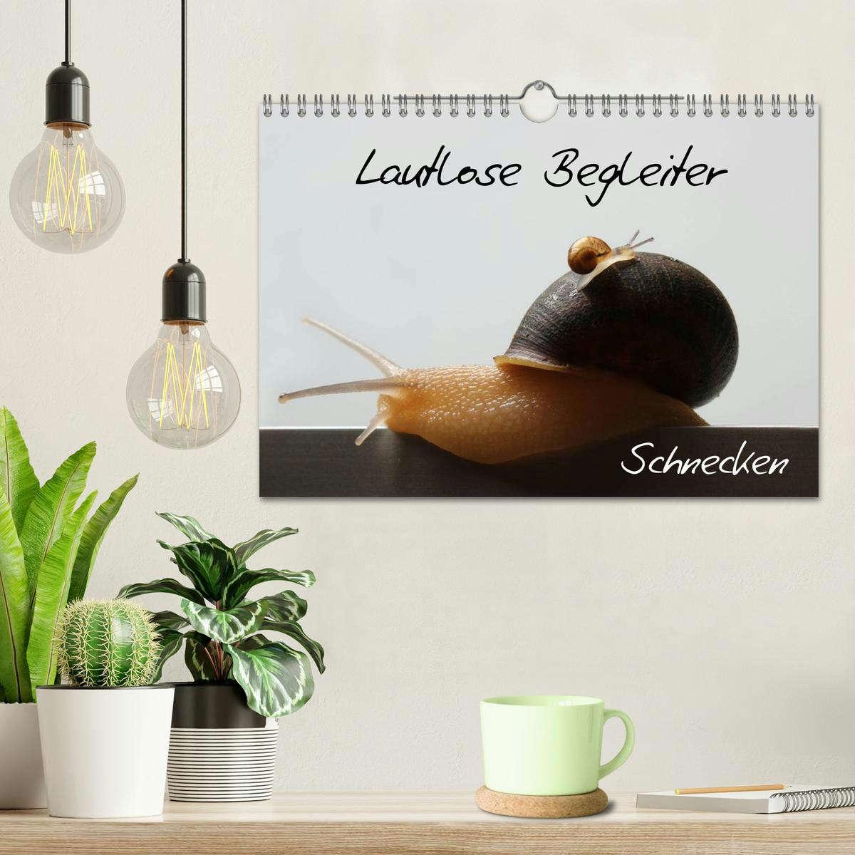 Bild: 9783435707812 | Lautlose Begleiter - Schnecken (Wandkalender 2025 DIN A4 quer),...